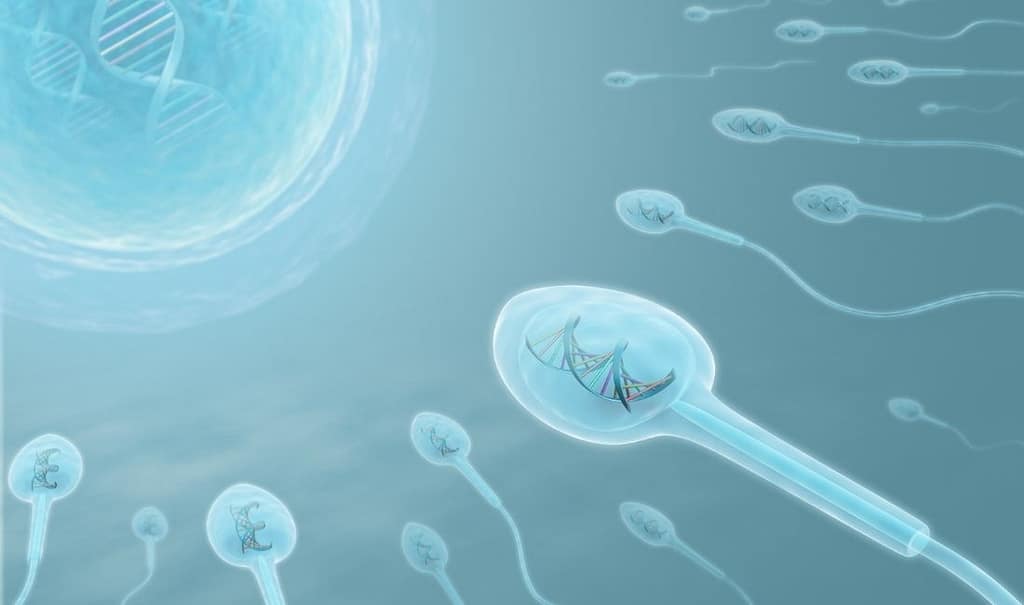 Sperm Kalitesini Artırmak İçin Sağlıklı Beslenme Önerileri sperm kalitesi