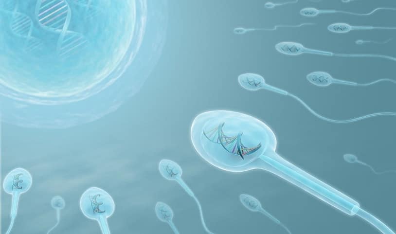 Sperm Kalitesini Artırmak İçin Sağlıklı Beslenme Önerileri sperm kalitesi